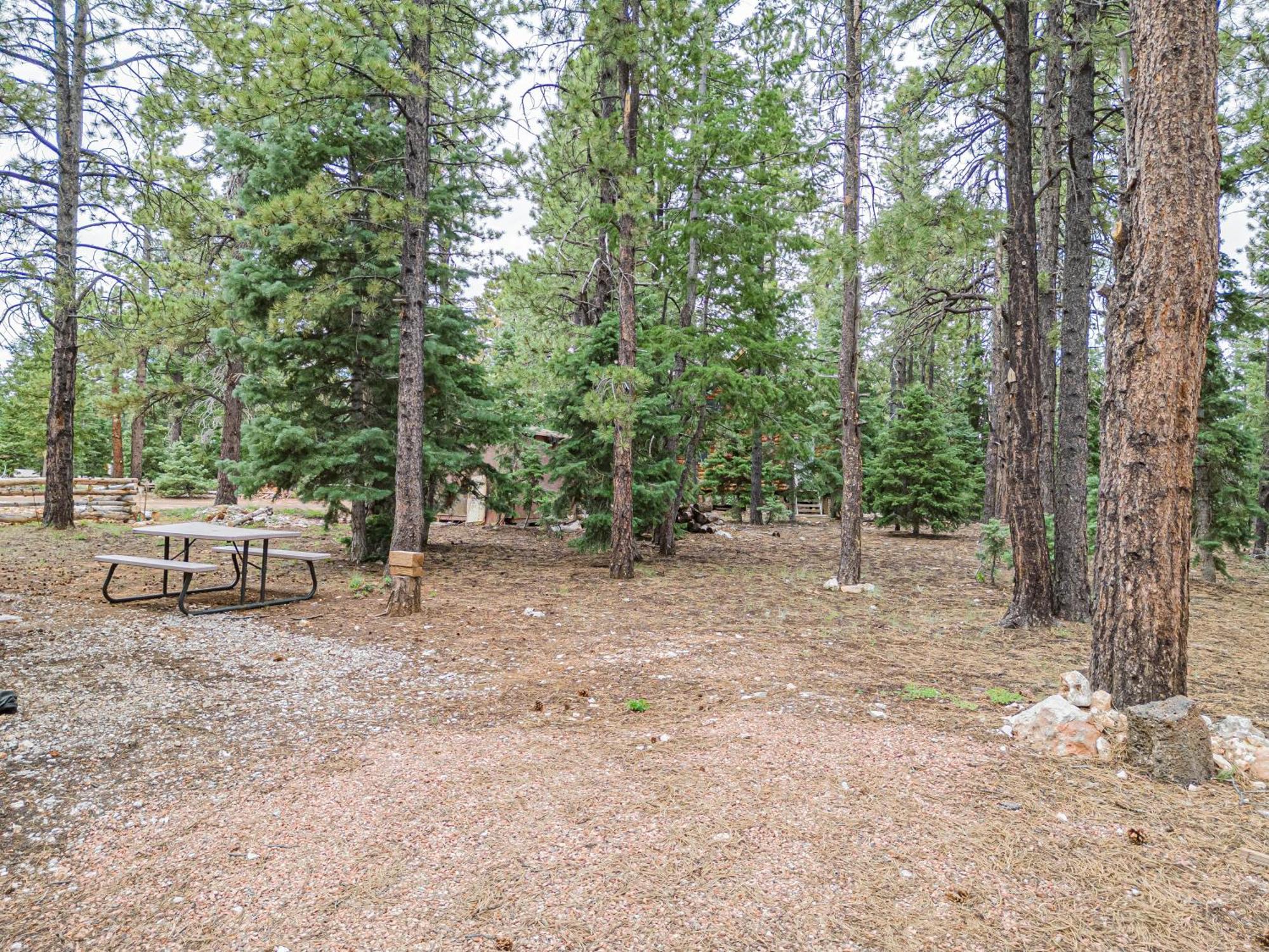 Вилла Hillside Hideaway Duck Creek Village Экстерьер фото